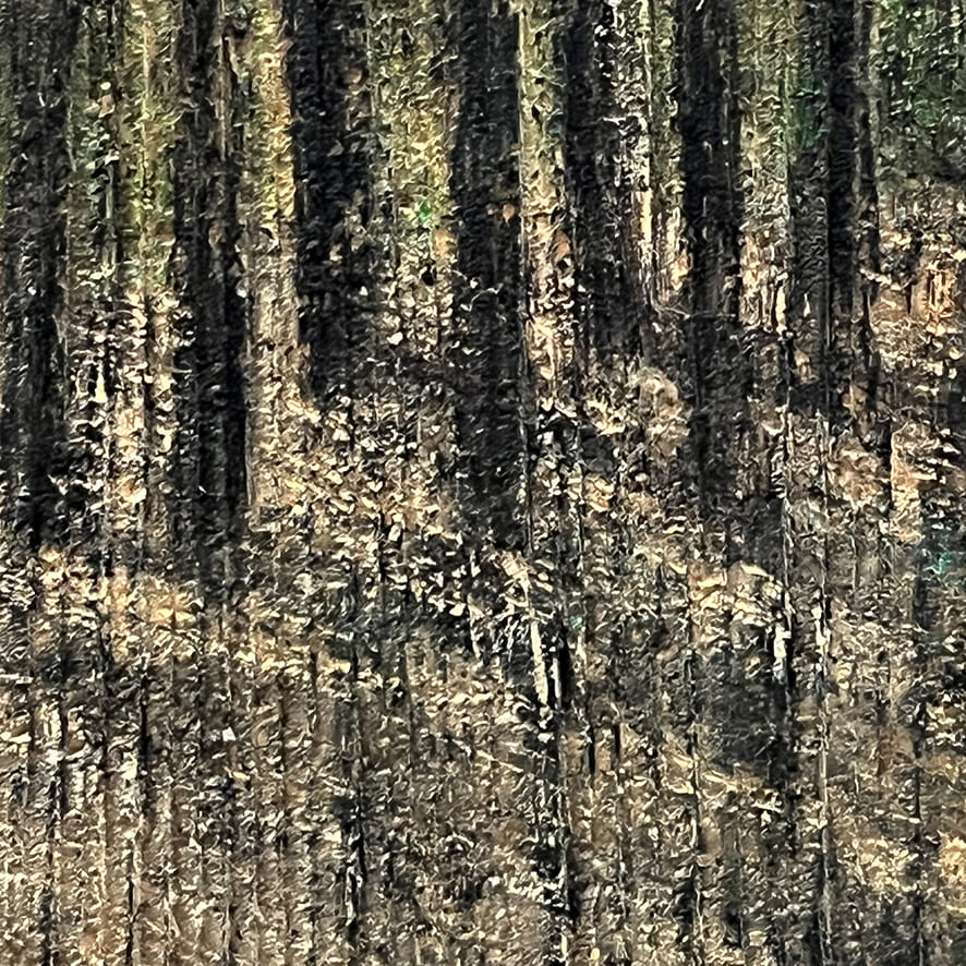 Landscape 5_detail